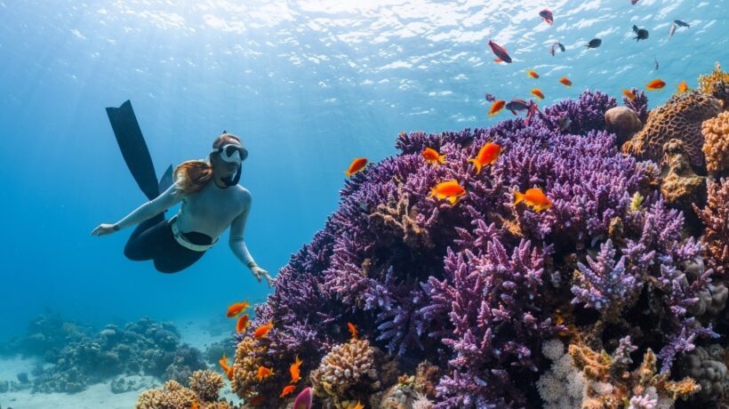 Adventúrne cestovanie: Trekking, potápanie, safari