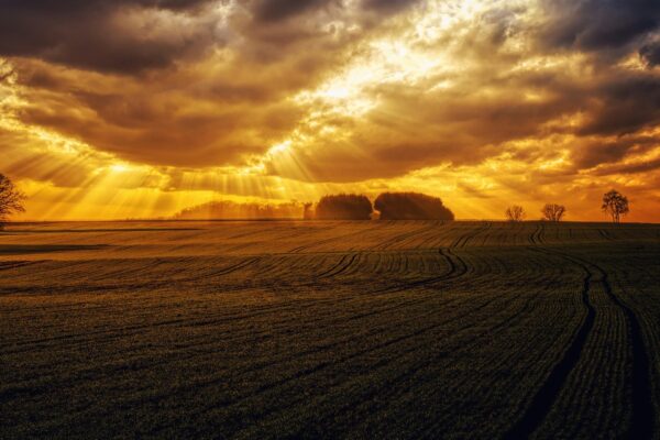 Budúcnosť reklamy bez cookies: Riešenia pre súkromie dát
