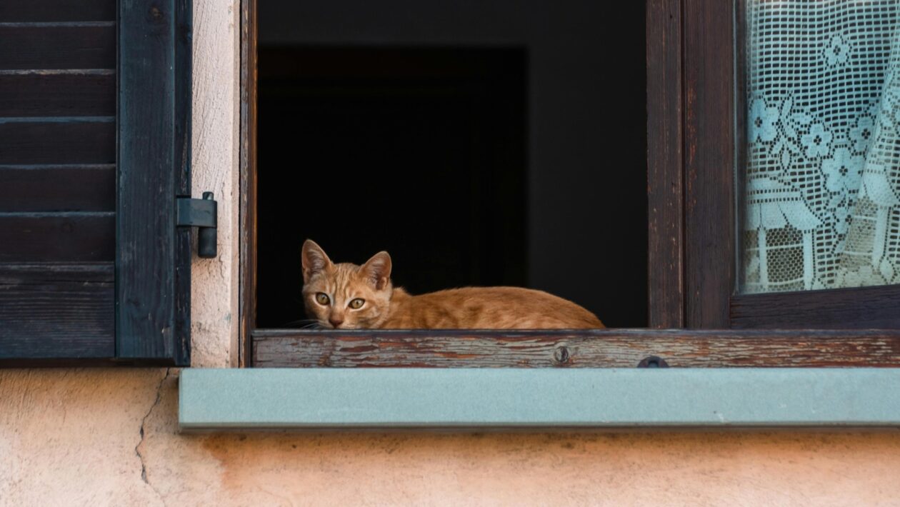 Etika fotografie: 10 zásad pre dôstojné zobrazovanie ľudí v charite