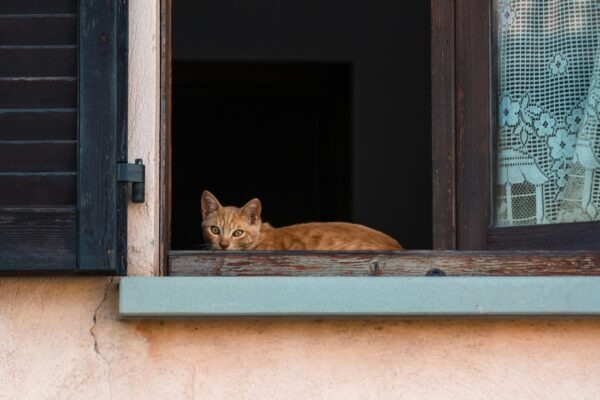 Etika fotografie: 10 zásad pre dôstojné zobrazovanie ľudí v charite