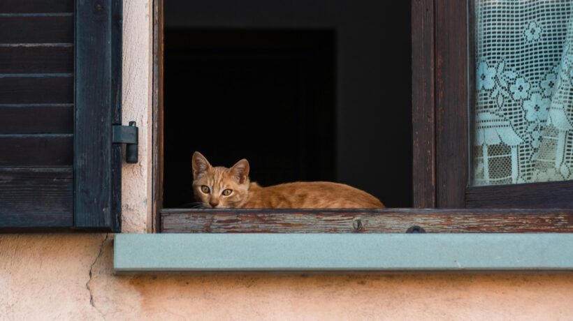 Etika fotografie: 10 zásad pre dôstojné zobrazovanie ľudí v charite