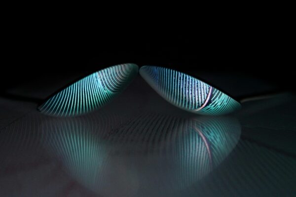 SEO pre charitu: ako využiť cause keywords a budovať autoritu tém (topical authority)