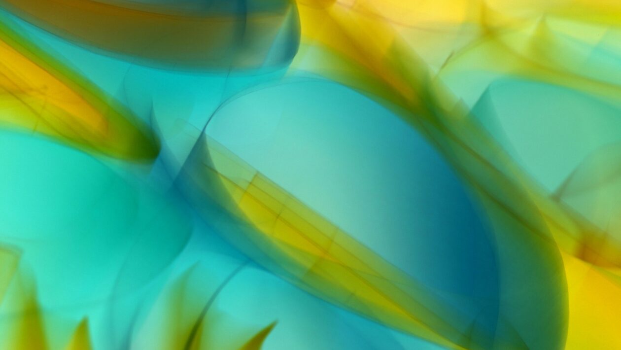 Impact calculator: interaktívny nástroj na okamžité prepočty dopadu darcovstva