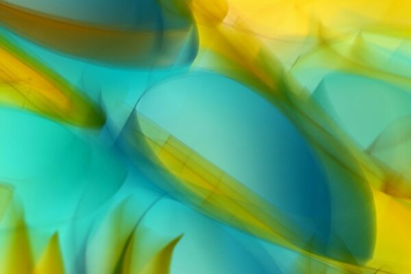 Impact calculator: interaktívny nástroj na okamžité prepočty dopadu darcovstva