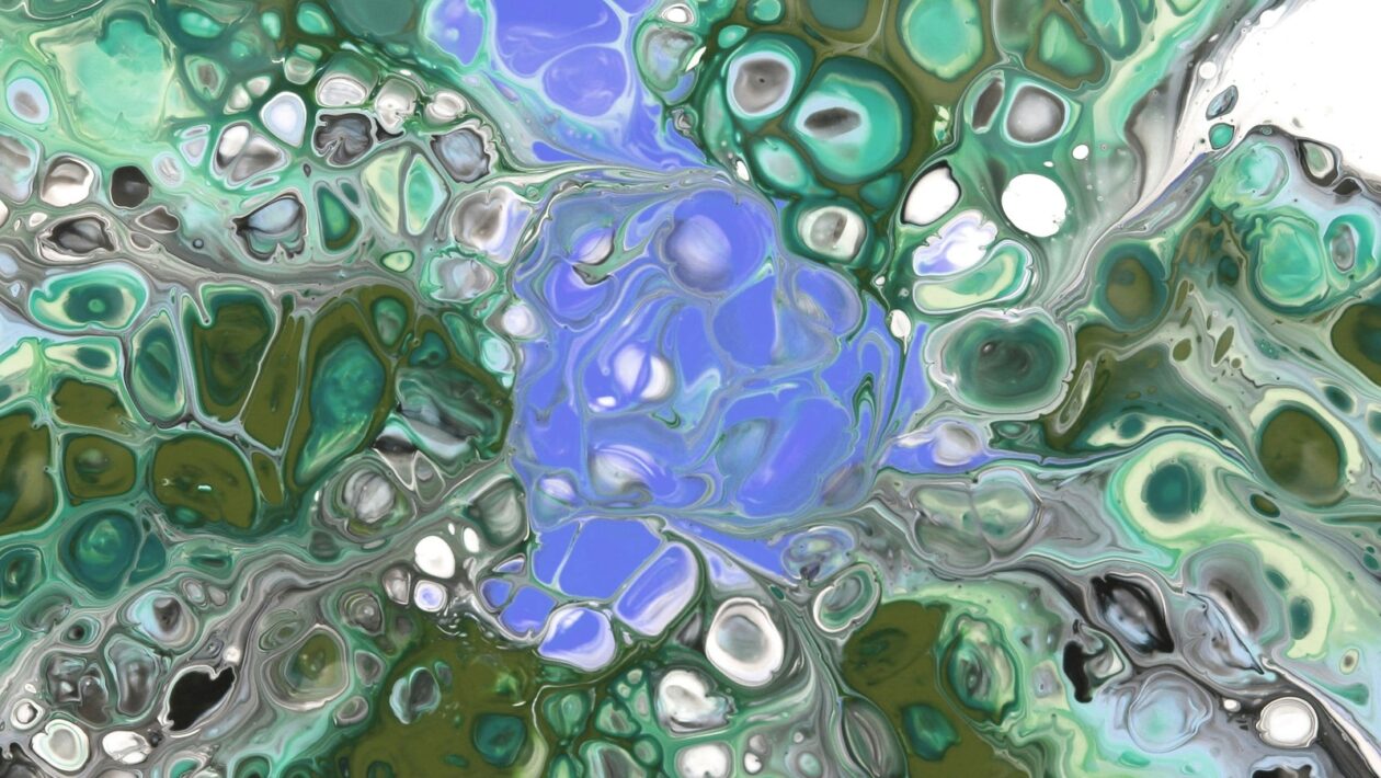 Street fundraising: školenie, compliance a riadenie reputácie (best practices)