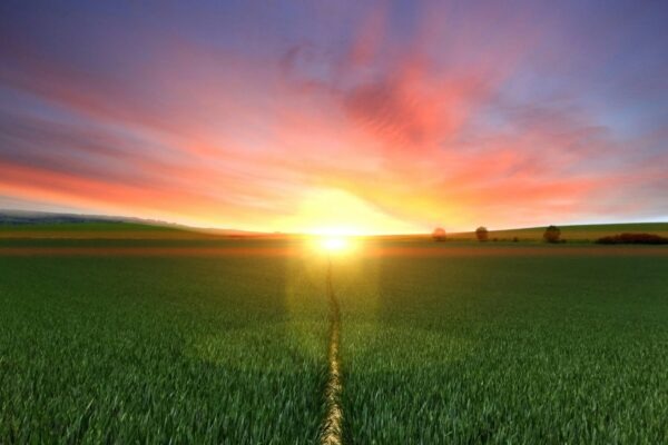 Digitálna dominancia: Analýza faktorov vedúcich k prevzatiu úlohy digitálnym marketingom