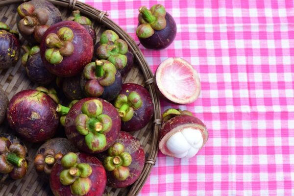 Harmonizácia kanálov: Efektívna integrácia tradičných a digitálnych médií