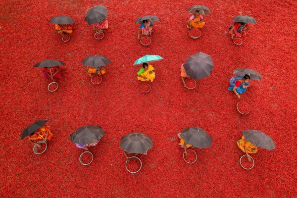 Dátovo riadená optimalizácia: Využitie analytických dát pre nastavenie marketingového mixu