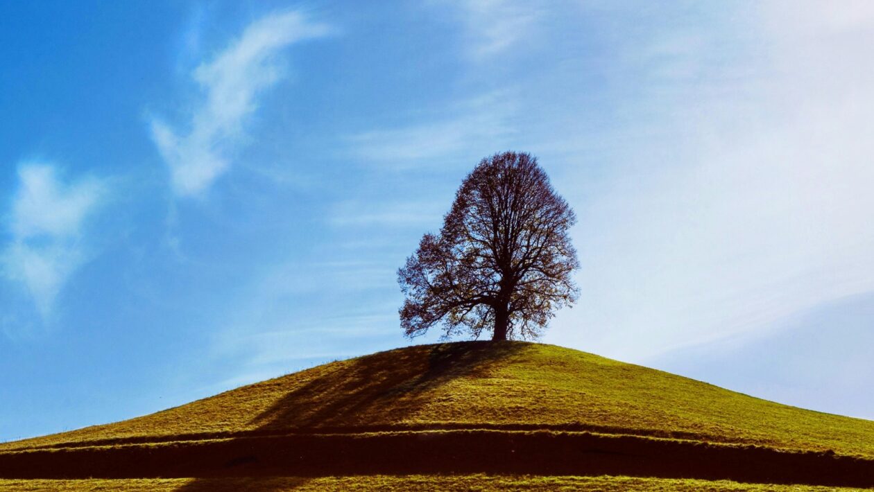 Integrovaný prístup: SEO, PPC, sociálne siete a e-mail marketing v praxi