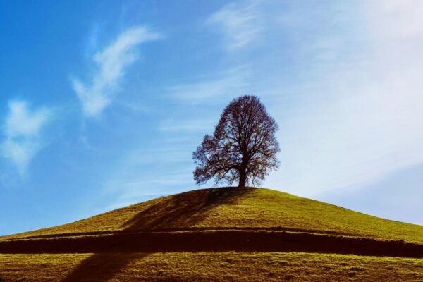 Integrovaný prístup: SEO, PPC, sociálne siete a e-mail marketing v praxi