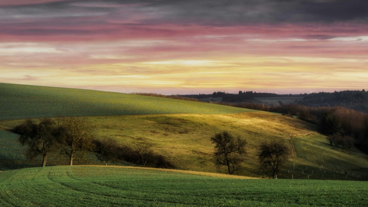 Dátový prehľad: Monitoring a reporting online marketingových aktivít