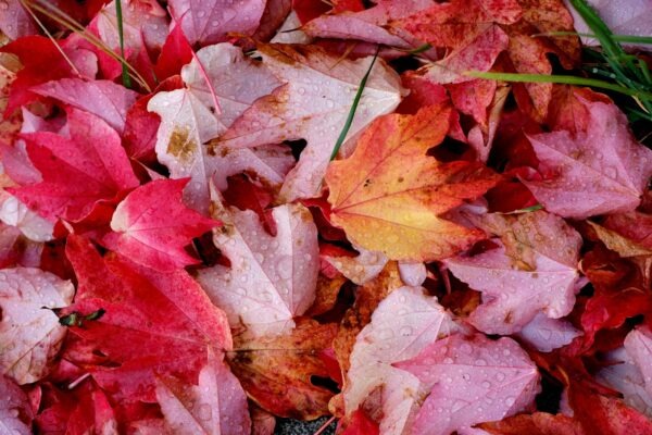 Hodnota zákazníka: Konverzie, bounce rate a meranie lifetime value (LTV)