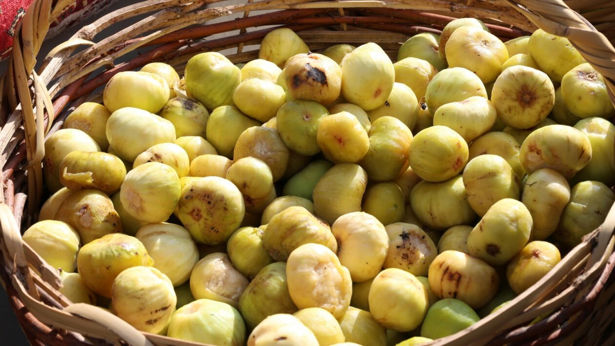 Performance Marketing: Merateľné kampane zamerané na priamy výkon