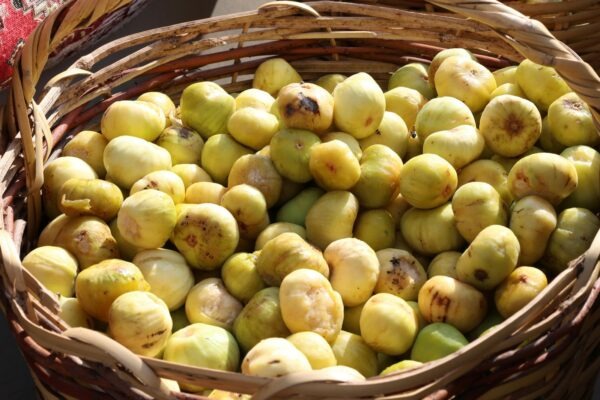 Performance Marketing: Merateľné kampane zamerané na priamy výkon