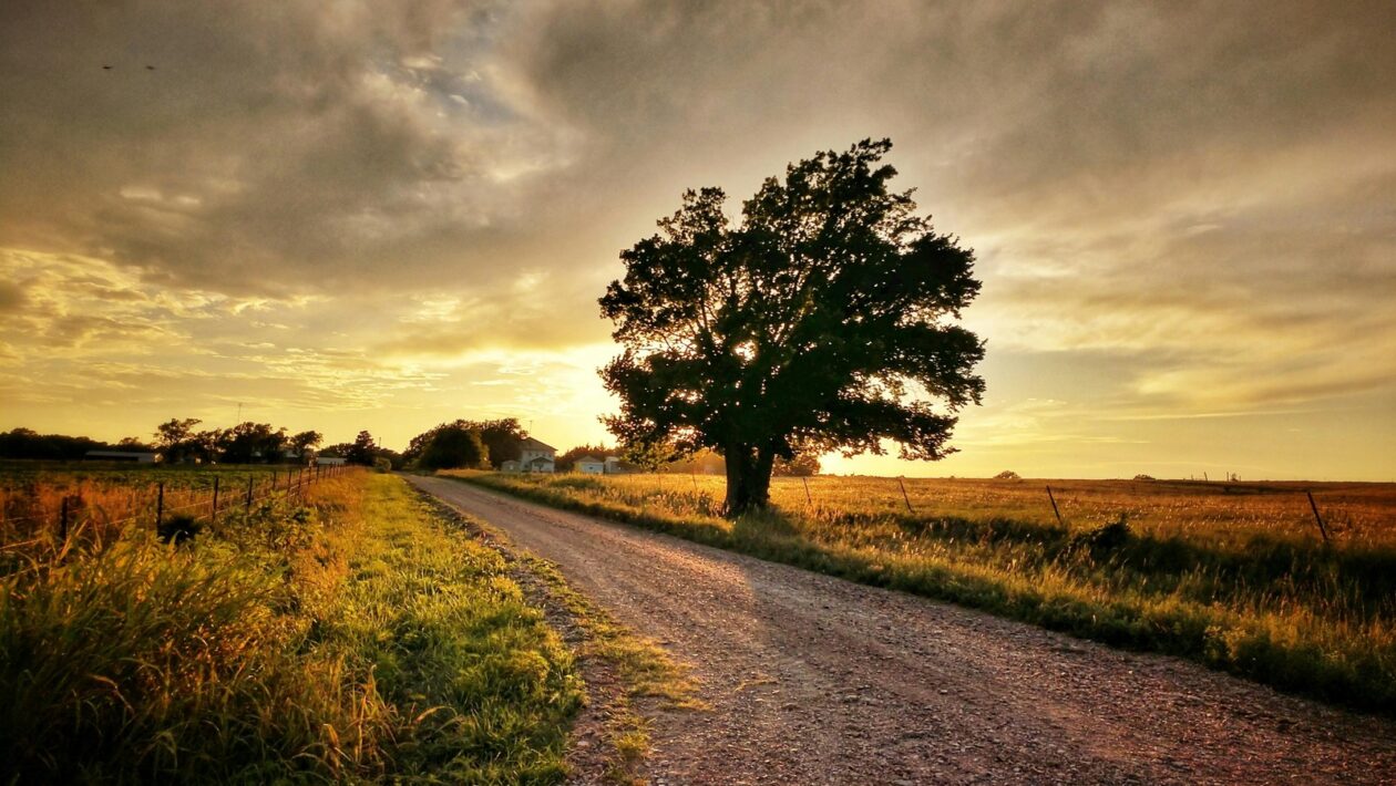 Autonómne systémy: Automatizácia výkonového marketingu pomocou AI a strojového učenia