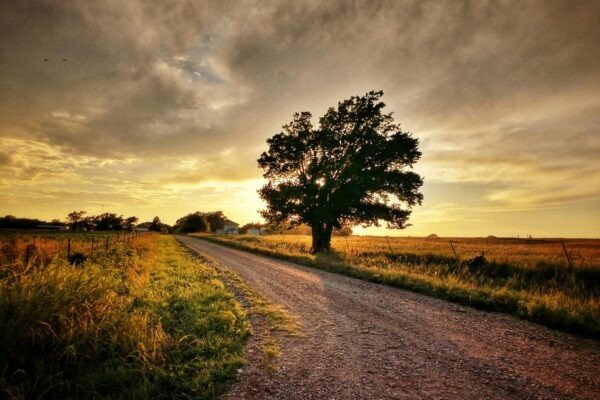 Autonómne systémy: Automatizácia výkonového marketingu pomocou AI a strojového učenia