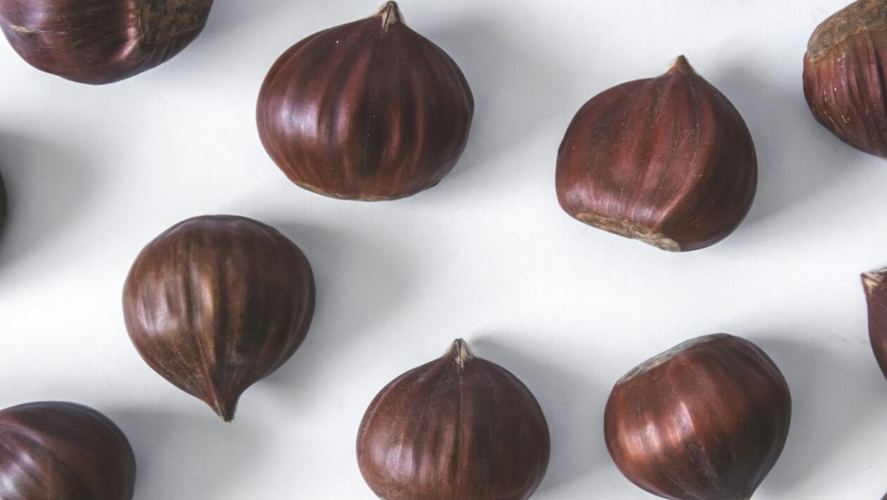 Agilný marketing: Rýchla adaptácia a reakcia na dynamické trhové zmeny