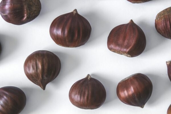 Agilný marketing: Rýchla adaptácia a reakcia na dynamické trhové zmeny