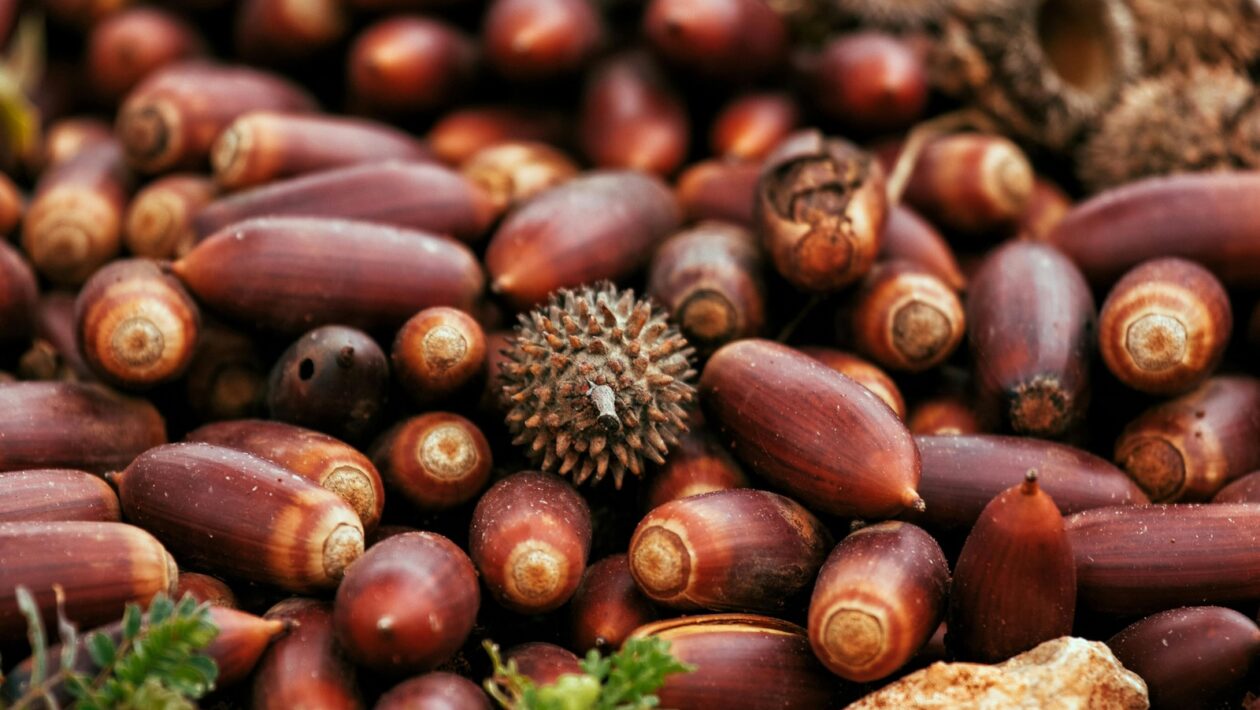 Znovu-angažovanie: Retargeting a Lookalike publikum v Meta kampaniach