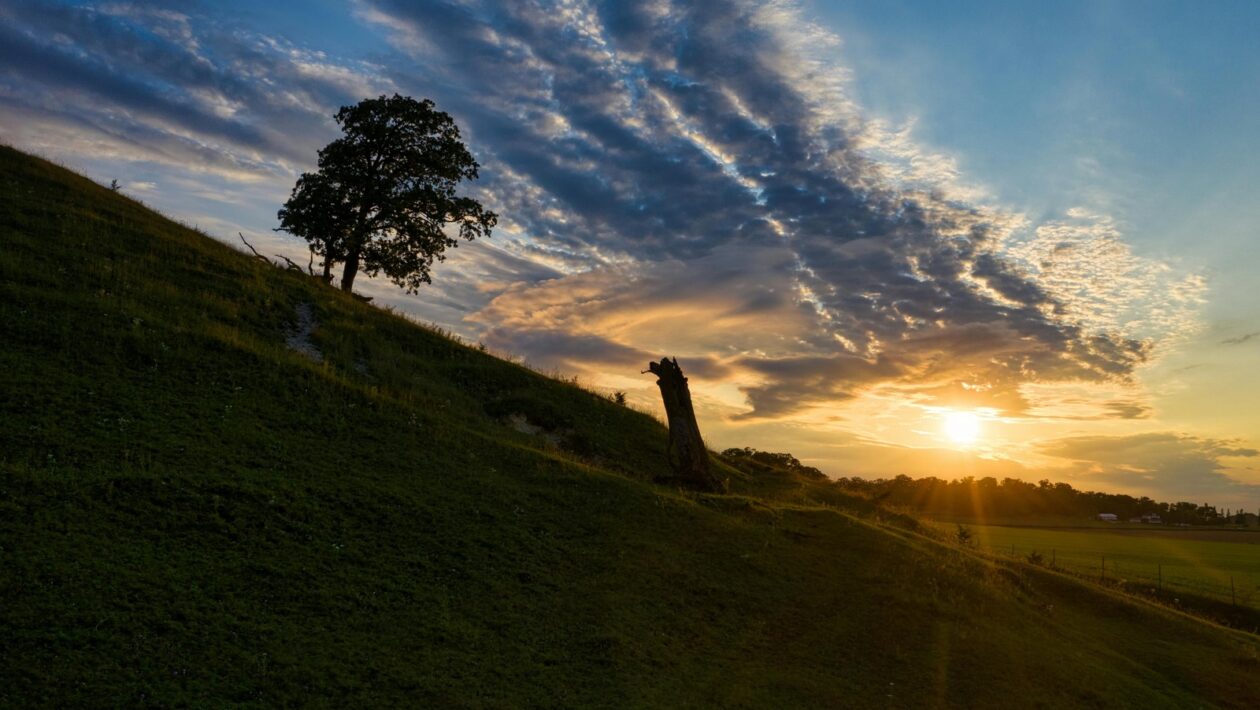 Generácia Z: TikTok ako nový, dynamický komunikačný a marketingový priestor