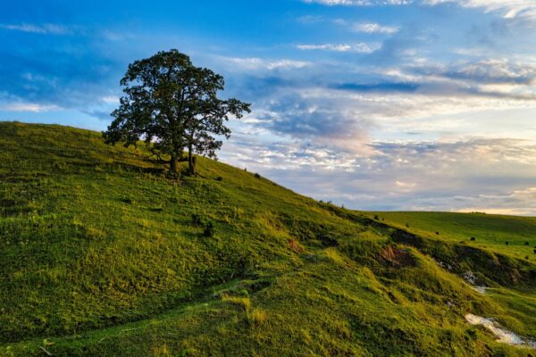 Algoritmický fenomén: Mechanika algoritmu a aktuálne trendy platformy TikTok