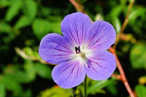 Monitoring reputácie: Reputačný manažment a monitoring reakcií používateľov