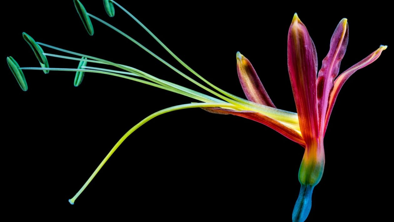 Targeting publika: Výber influencera podľa demografie a preferencií cieľovej skupiny