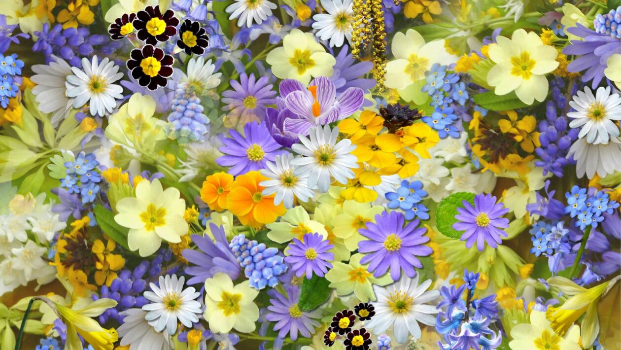 Content Roadmap: Obsahová stratégia a proces plánovania relevantných tém