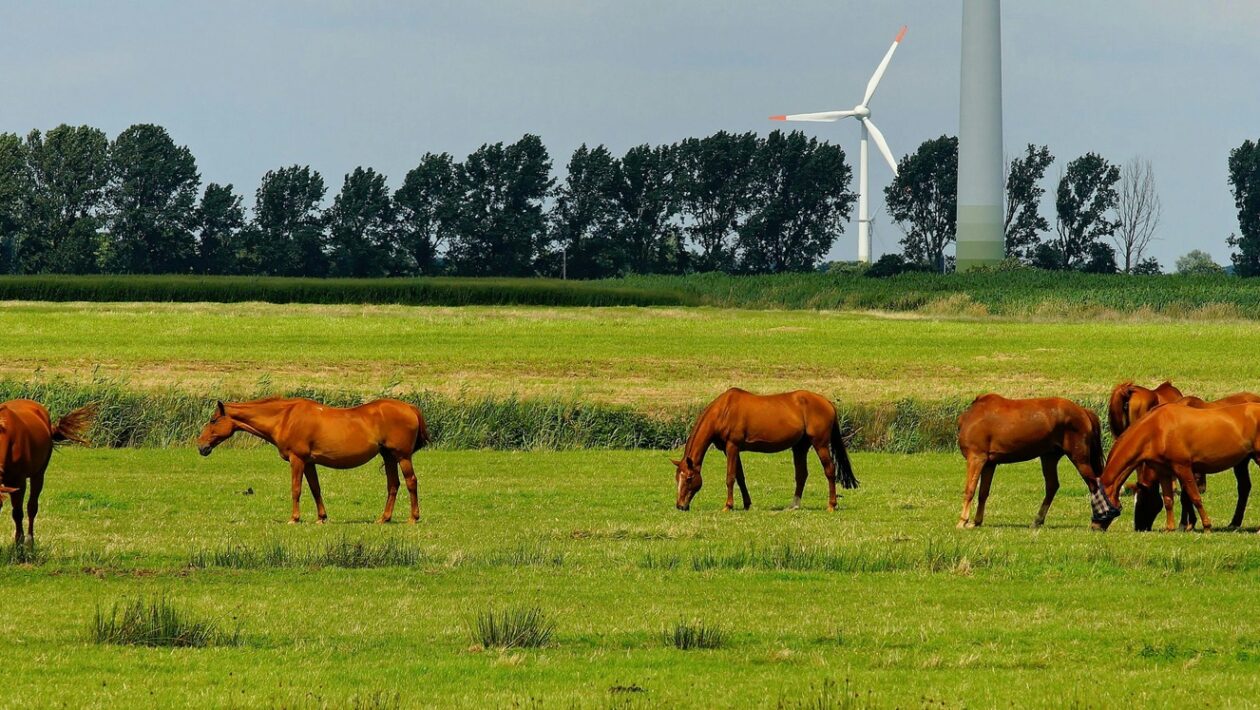 Štruktúra príbehu: Princípy a mechanizmy efektívneho storytellingu