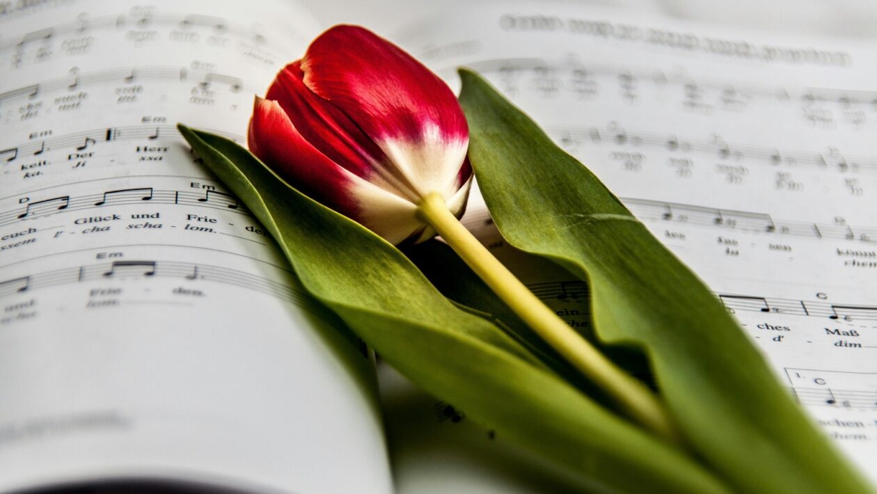 Value-driven articles: Tvorba vysoko hodnotných článkov pre cieľovú čitateľskú skupinu