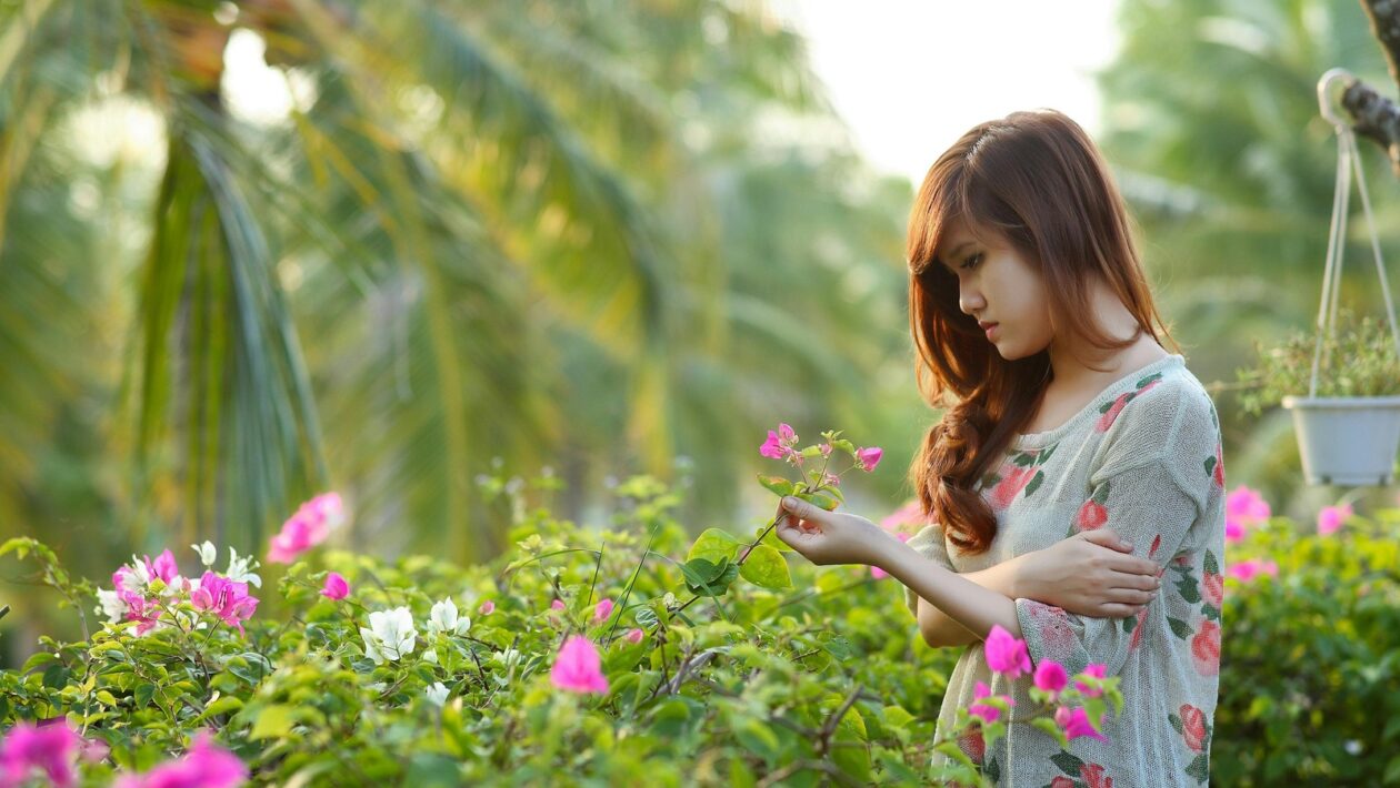 Content Distribution: Distribúcia blogového obsahu prostredníctvom sociálnych sietí