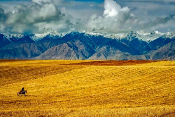 Rýchly obsah: Charakteristika a dôvody efektivity mikroobsahu