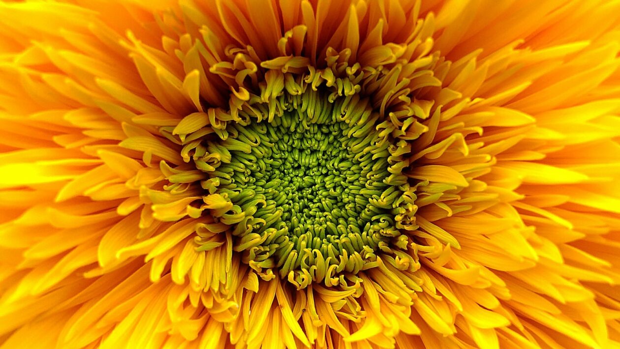 Etika manipulácie: Hranice psychologického ovplyvňovania v marketingu