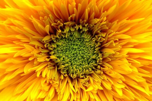 Etika manipulácie: Hranice psychologického ovplyvňovania v marketingu