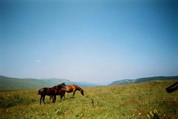 Digital Monitoring: Online nástroje a metódy na meranie povedomia značky