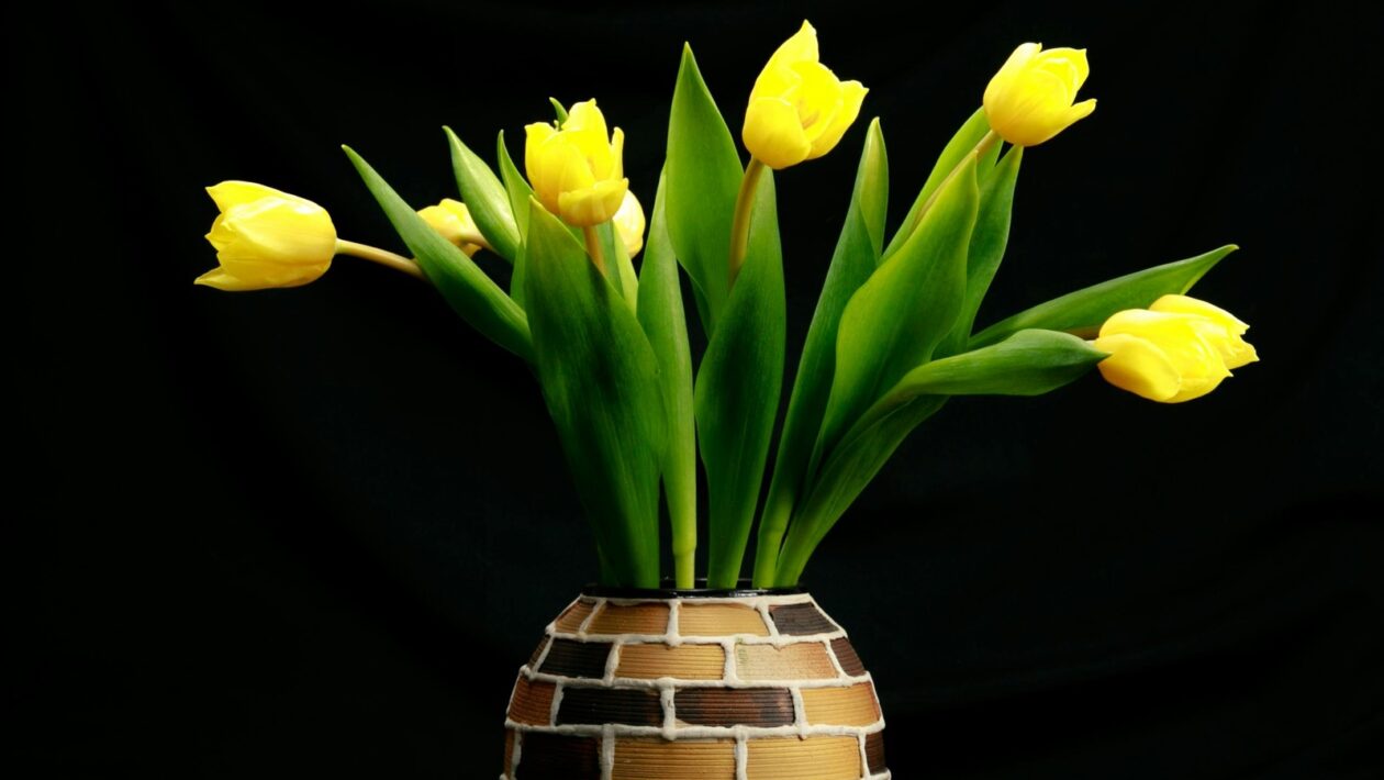 Archetypy v marketingu: 12 archetypov značiek podľa koncepcie C. G. Junga