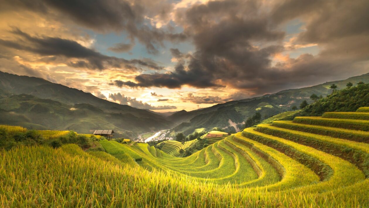 Kolektívne vnímanie: Psychologické vplyvy archetypov na cieľové publikum