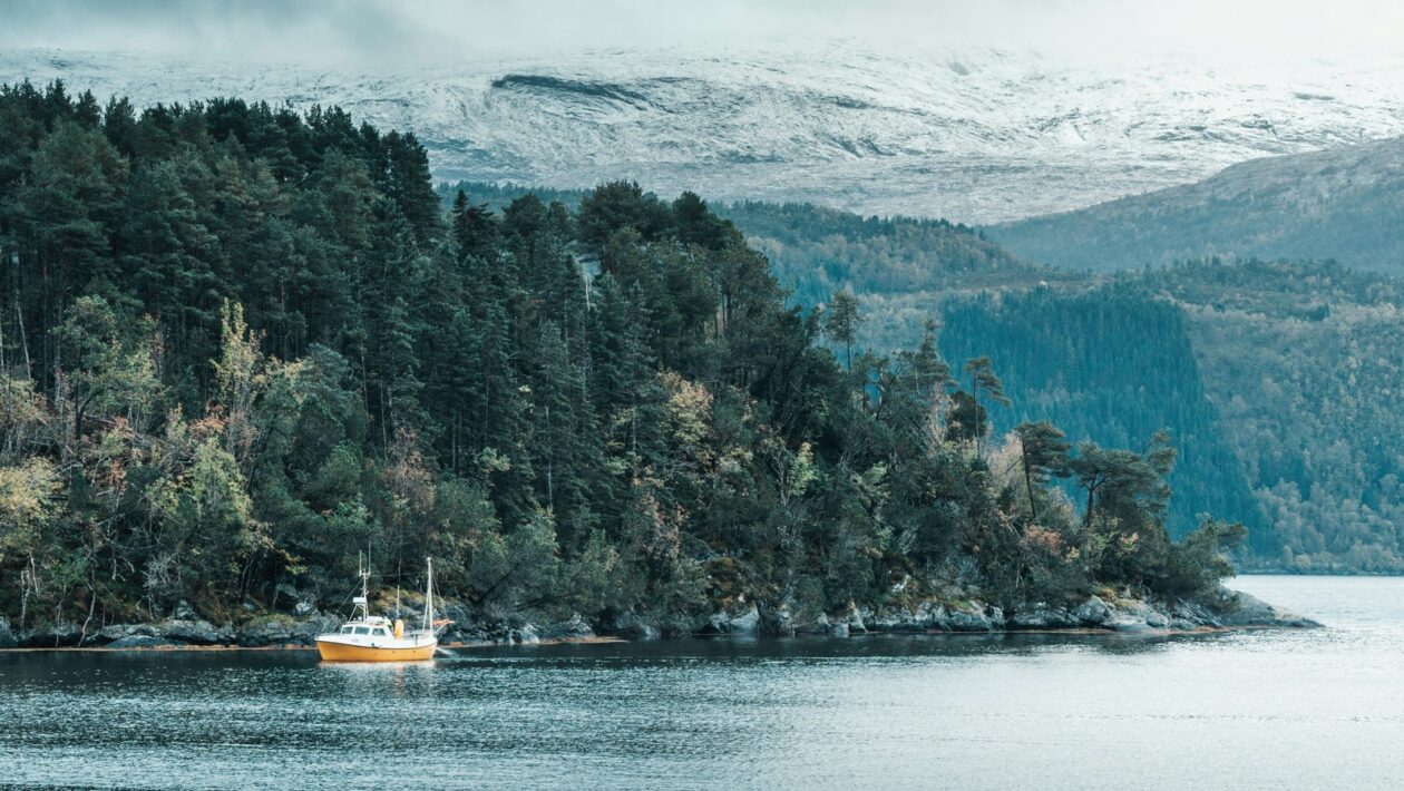 Digitálny servis: Online chat, AI asistenti a sociálna podpora