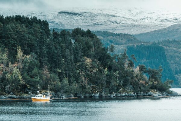 Digitálny servis: Online chat, AI asistenti a sociálna podpora