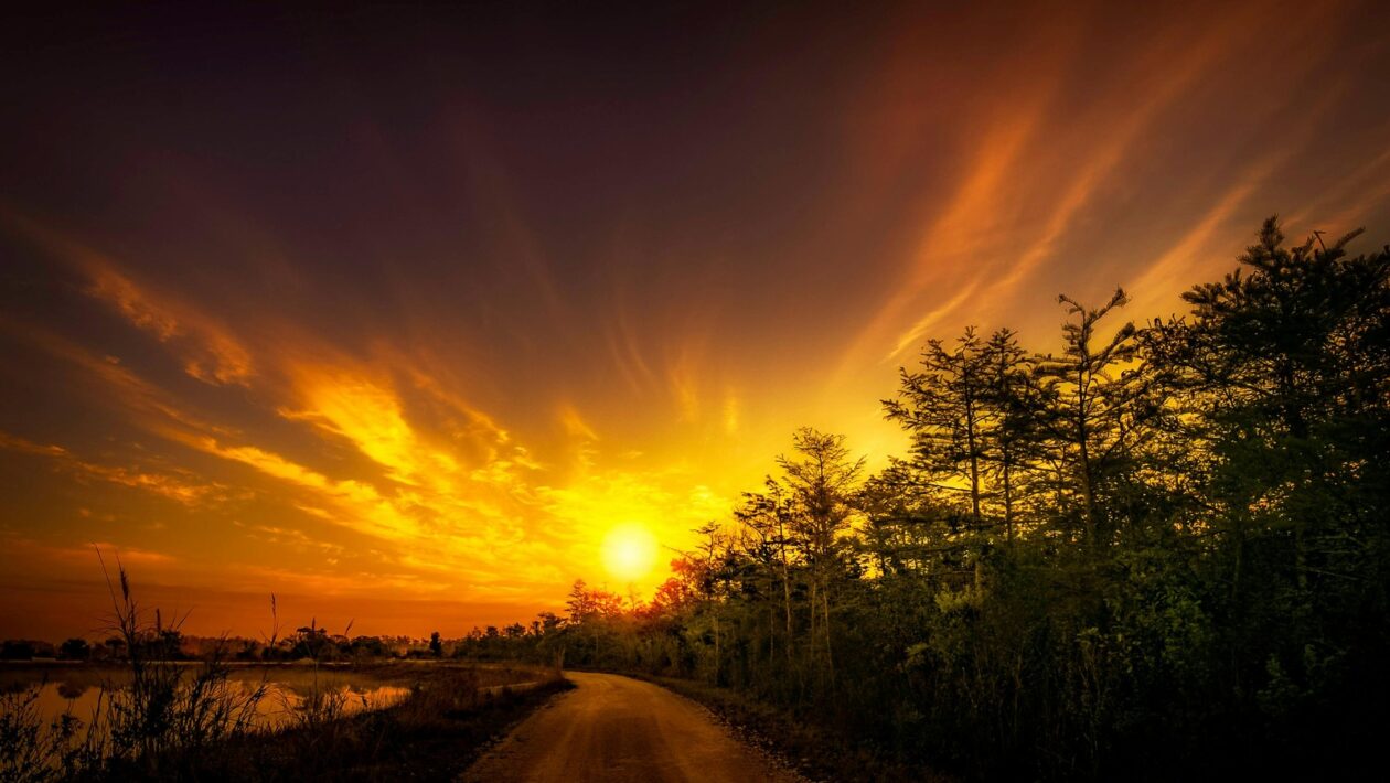 Diferenciácia službou: Zákaznícky servis ako forma marketingovej výhody