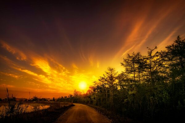 Diferenciácia službou: Zákaznícky servis ako forma marketingovej výhody