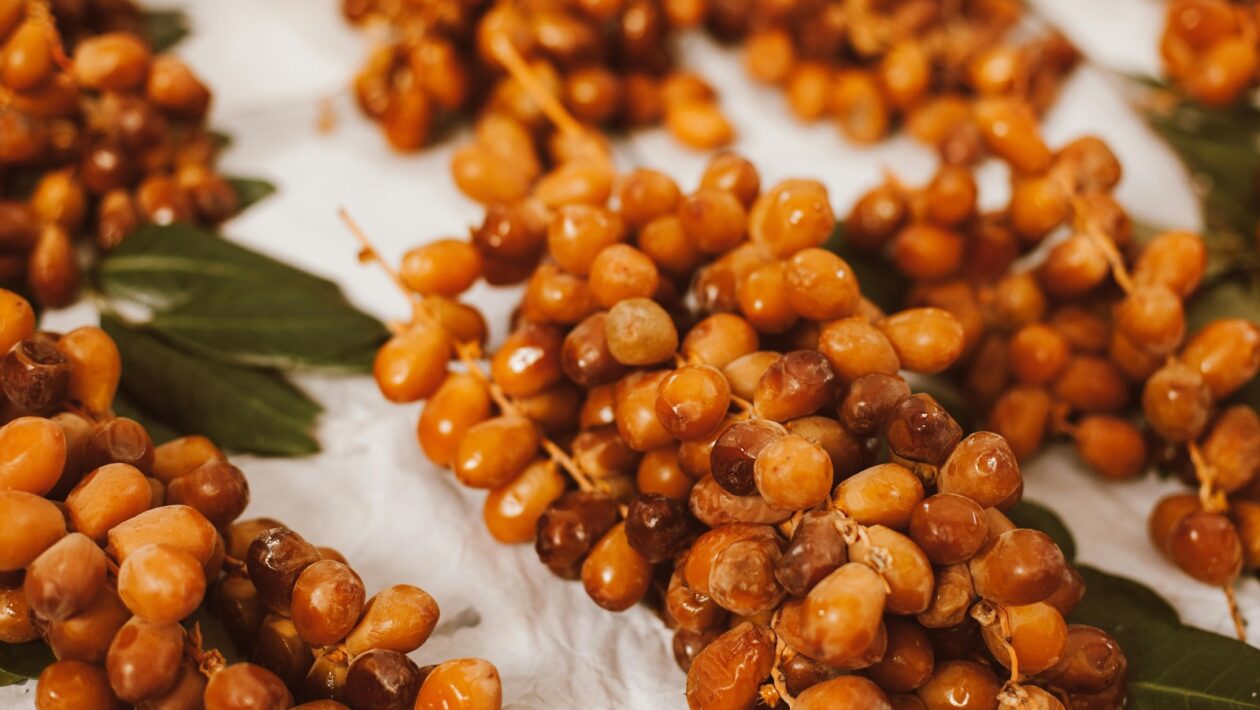 Audit programatiku: Transparentnosť a kontrola v automatizovaných systémoch