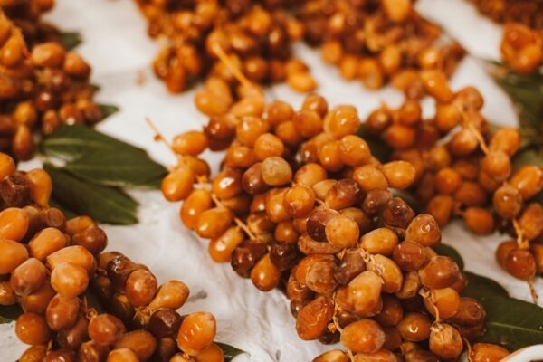 Audit programatiku: Transparentnosť a kontrola v automatizovaných systémoch