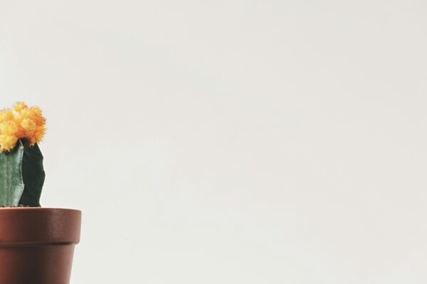 Konverzné bariéry: Najčastejšie chyby v e-mail marketingu a ich eliminácia