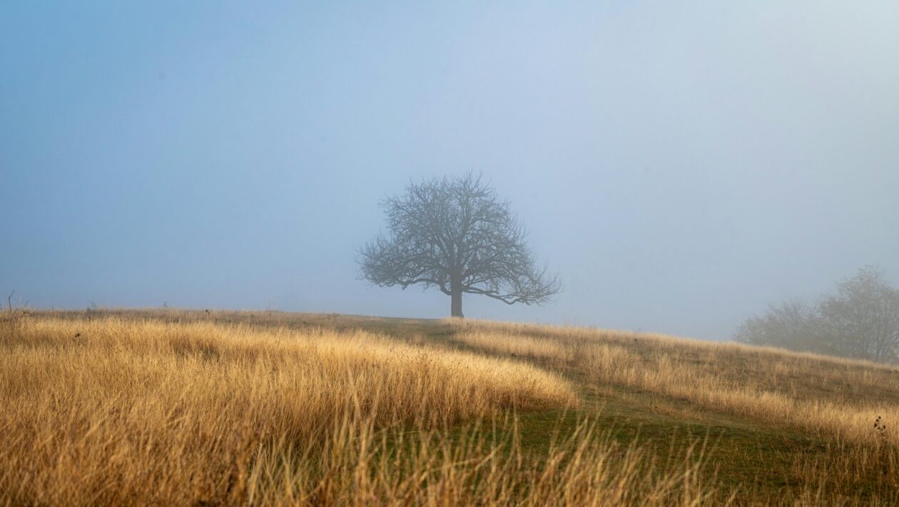 End-to-end automatizácia: Automatizované kampane v e-commerce