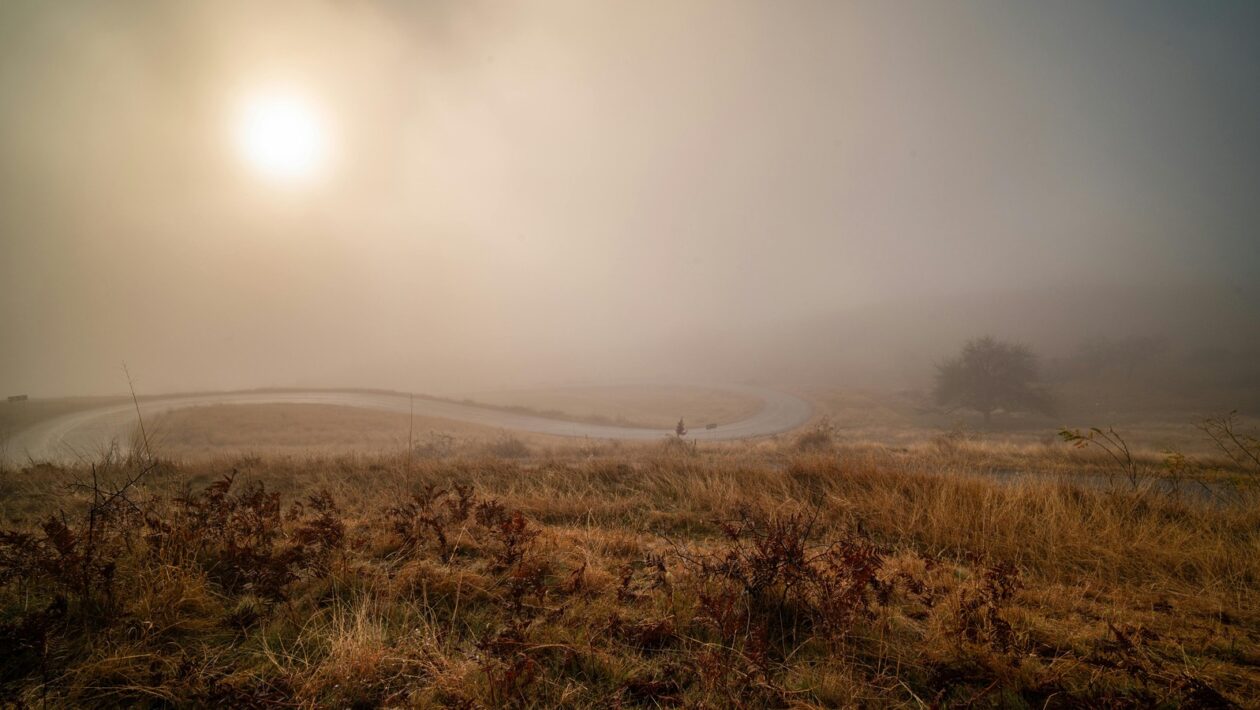 Dátová harmónia: Integrácia CRM, e-mailov a personalizácie