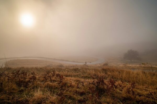 Dátová harmónia: Integrácia CRM, e-mailov a personalizácie