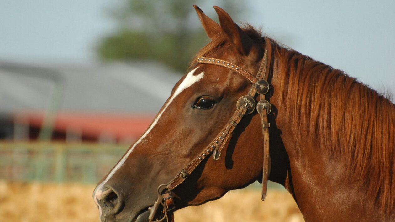 Architektúra súkromia: Technologické riešenia pre marketing po ére third-party cookies