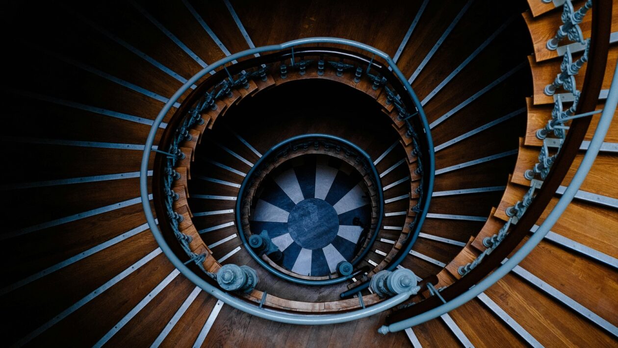 Neuroekonomika nákupu: Prepojenie emócií s kritickým rozhodovacím procesom