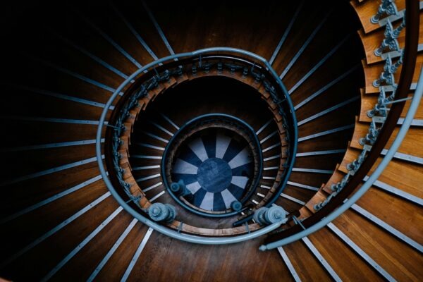 Neuroekonomika nákupu: Prepojenie emócií s kritickým rozhodovacím procesom